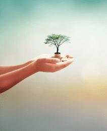 Hybrid Funds